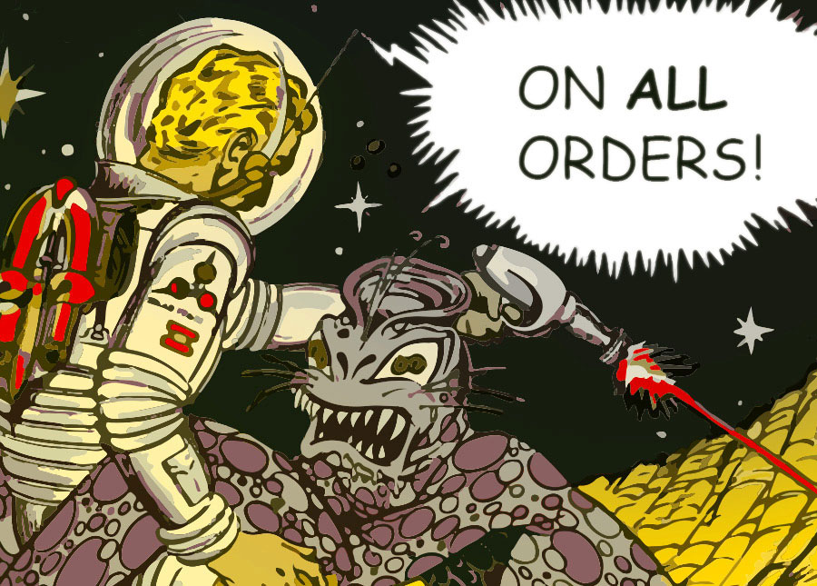 Free Shipping on All Orders